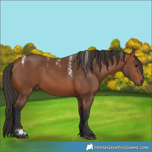 Horse Color:Powder White Bay