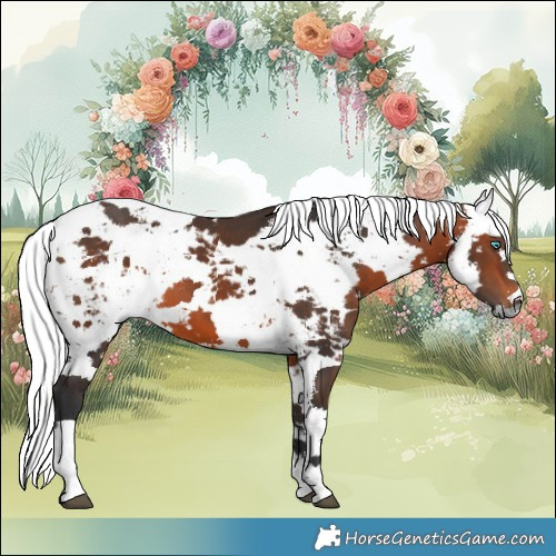 Horse Color:Bay Harlequin Merle