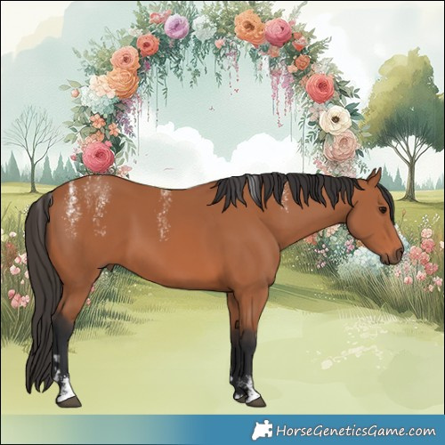 Horse Color:Powder White Bay
