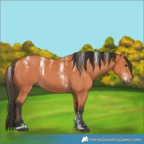 Horse Color:Powder White Bay