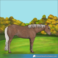 Horse Color:Silver Black