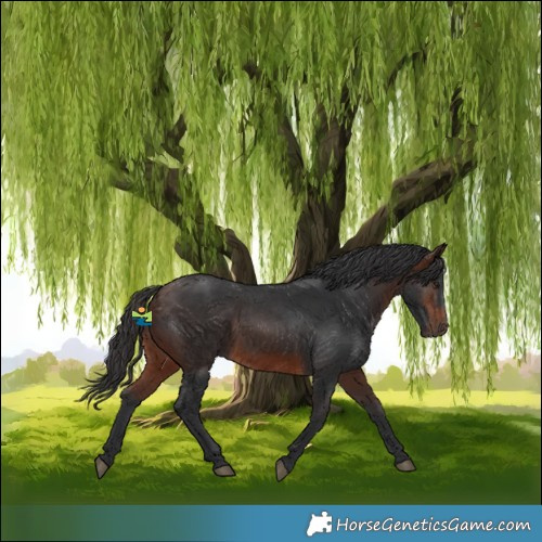 Horse Color:Brown 