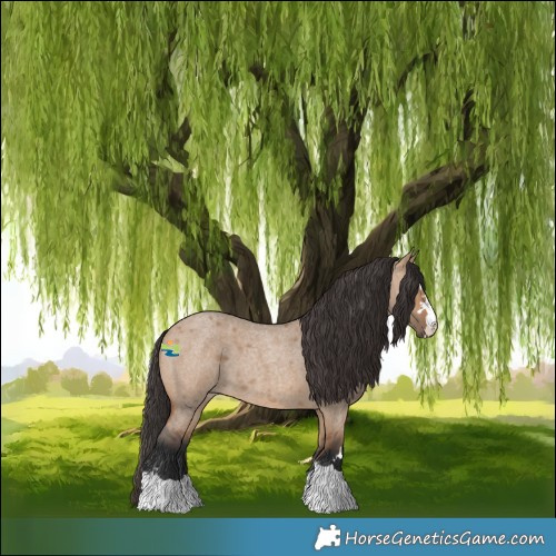 Horse Color:Bay Roan Dun