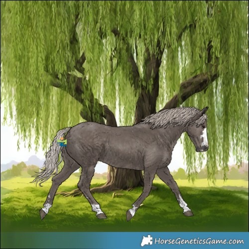 Horse Color:Silver Black