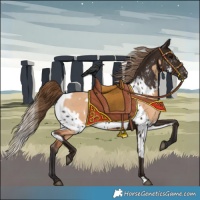 Horse Color:Bay Dun Blanket and Liver Chestnut Skewed LP Spotted Rabicano
