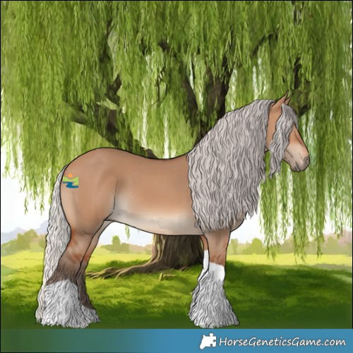 Horse Color:Silver Bay Dun Tobiano 