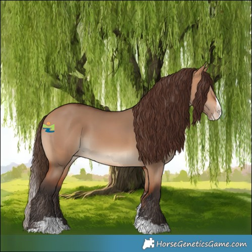 Horse Color:Bay Dun Sabino Splash Appaloosa 