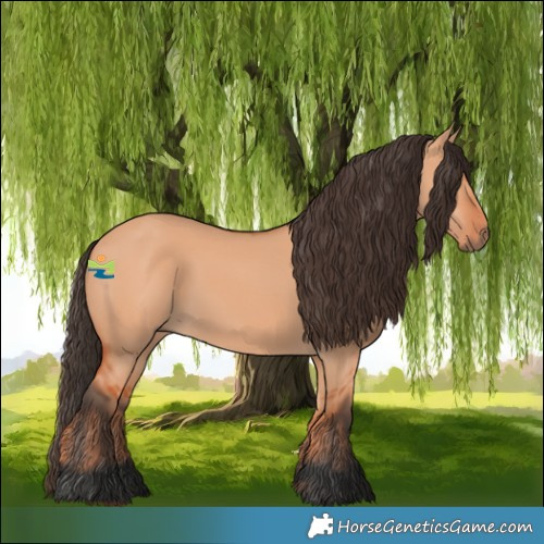Horse Color:Bay Dun 