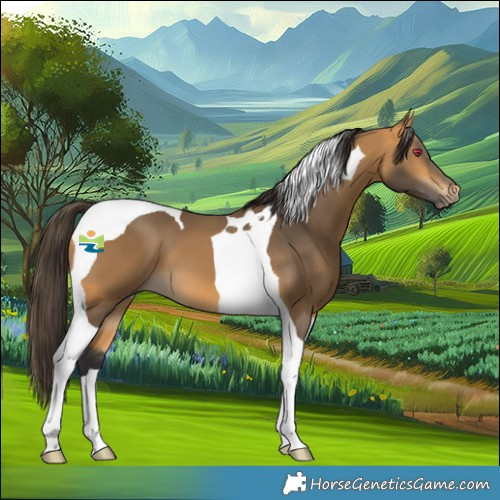 Horse Color:Buckskin Tobiano 