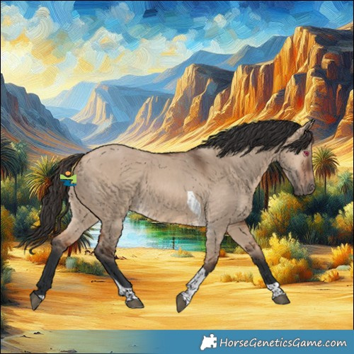 Horse Color:Bay Dun Tobiano 