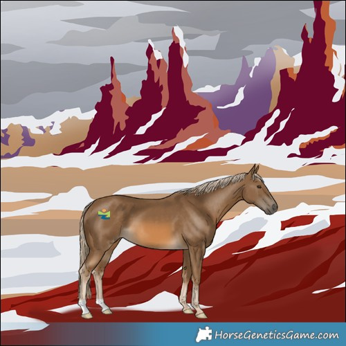 Horse Color:Chocolate Palomino