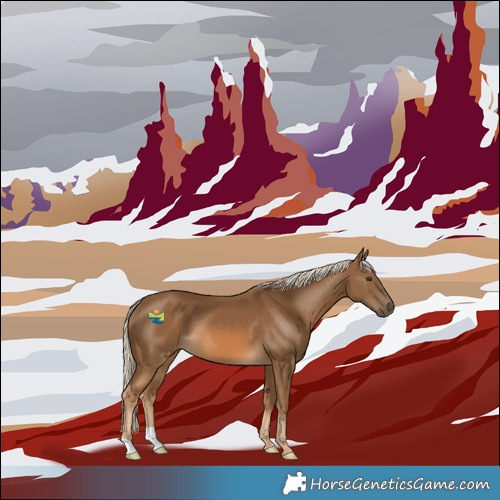 Horse Color:Chocolate Palomino 