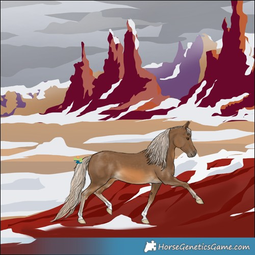 Horse Color:Chocolate Palomino