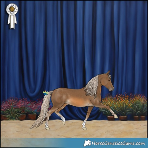 Horse Color:Chocolate Palomino 