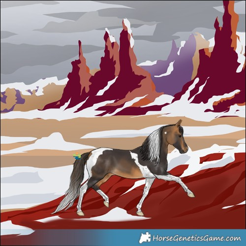 Horse Color:Buckskin Tobiano 