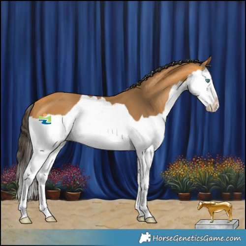Horse Color:Buckskin Splash