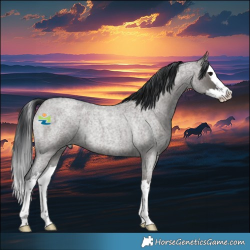 Horse Color:Grullo Roan Splash Rabicano