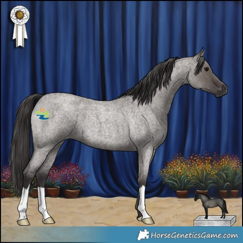 Horse Color:Smoky Grullo Roan 
