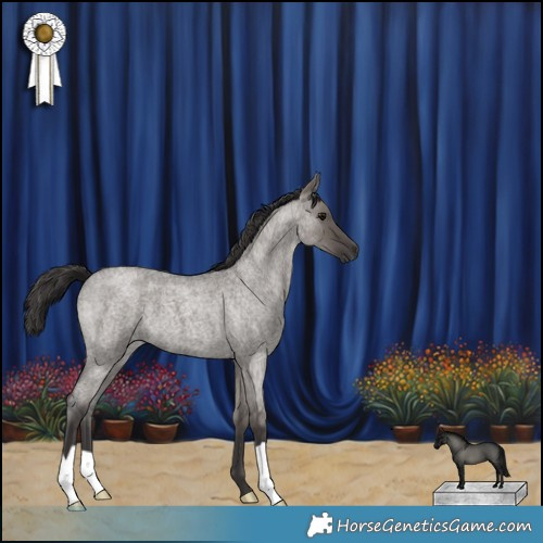 Horse Color:Smoky Grullo Roan 