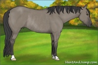 Horse Color:Smoky Grullo Rabicano