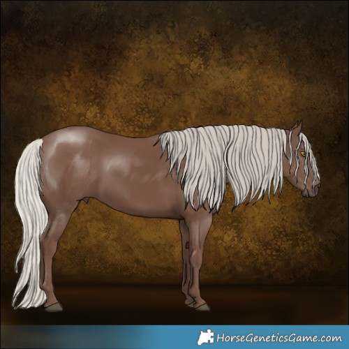 Horse Color:Silver Black 