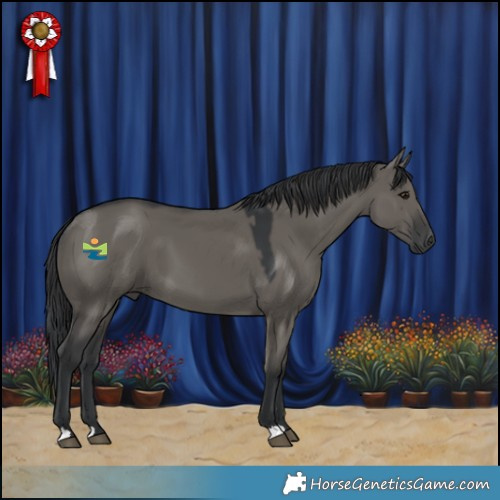 Horse Color:Grullo