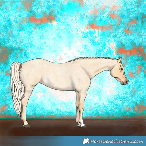 Horse Color:Palomino Roan 