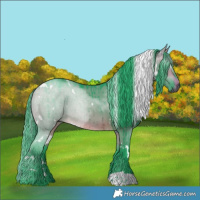 Horse Color:Gray Watercolor White Spotted Buckskin Dun Brindle 