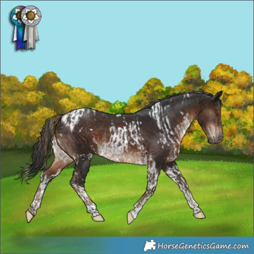 Horse Color:White Spotted Liver Chestnut and Brown Tobiano
