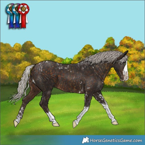 Horse Color:White Spotted Silver Buckskin Splash Tobiano  and Silver Brown Splash Tobiano 