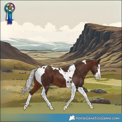 Horse Color:Silver Brown Splash Tobiano