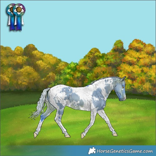 Horse Color:Watercolor White Spotted Silver Brown Dun Tobiano