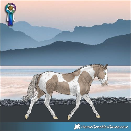 Horse Color:Silver Grullo Splash Tobiano 