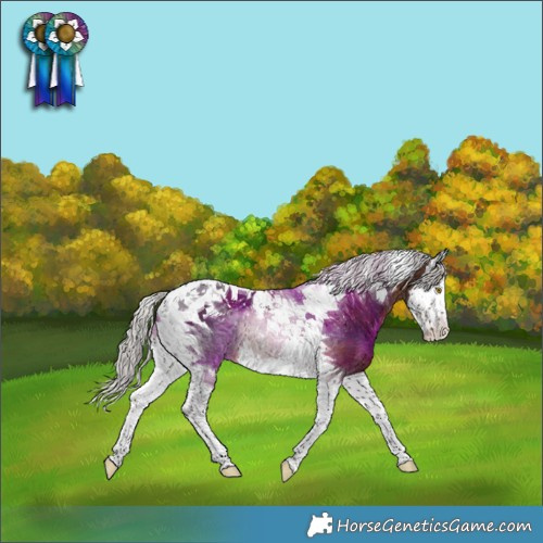 Horse Color:Silver Brown Splash Tobiano