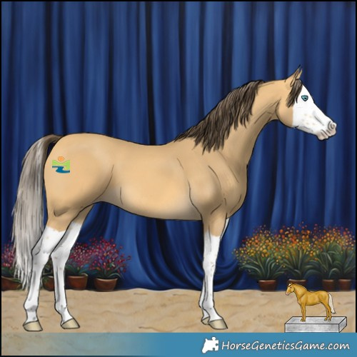Horse Color:Amber Cream Champagne Splash