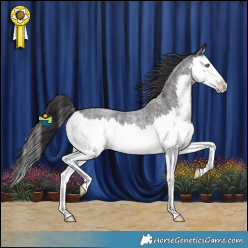 Horse Color:Smoky Blue Roan Splash