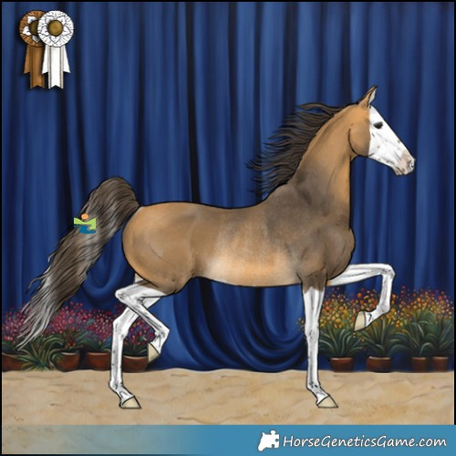 Horse Color:Buckskin Splash Rabicano