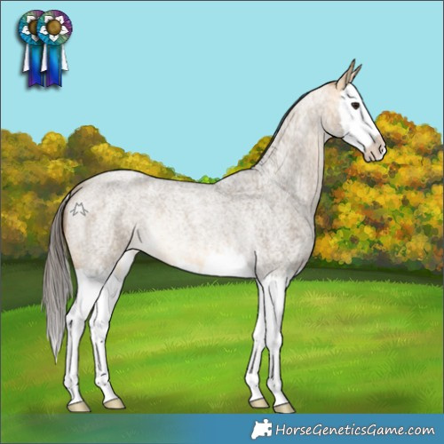 Horse Color:Buckskin Roan Dun Splash Rabicano
