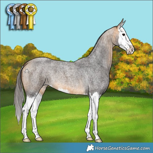 Horse Color:Buckskin Roan Splash
