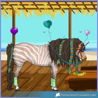 Horse Color:Bay Roan Rabicano