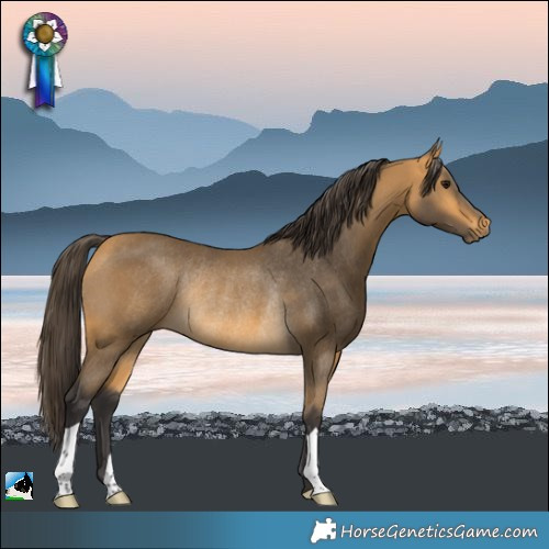 Horse Color:Buckskin Rabicano 