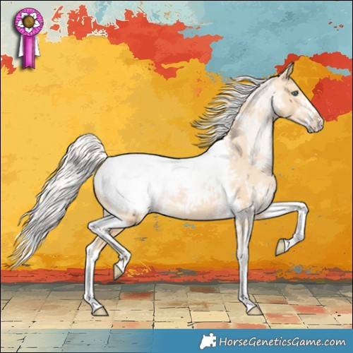 Horse Color:Silver Buckskin Ice Pearl Splash Tobiano Appaloosa