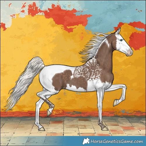 Horse Color:Silver Black Splash Tobiano Appaloosa