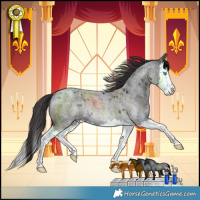 Horse Color:Smoky Blue Roan Splash Rabicano