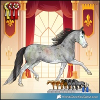 Horse Color:Smoky Blue Roan Splash Rabicano 