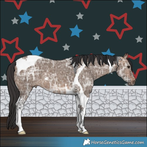 Horse Color:Brown Ice Dun Tobiano 