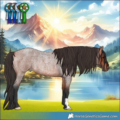 Horse Color:Bay Roan Rabicano 