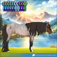 Horse Color:Bay Roan Rabicano