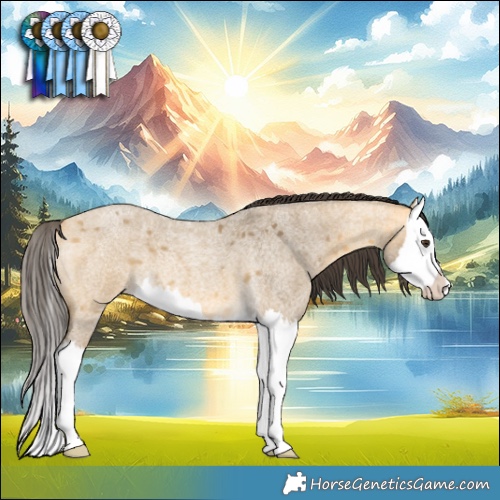 Horse Color:Buckskin Roan Dun Splash 