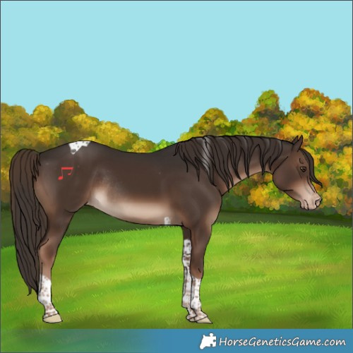 Horse Color:Liver Chestnut Tobiano Varnish Rabicano